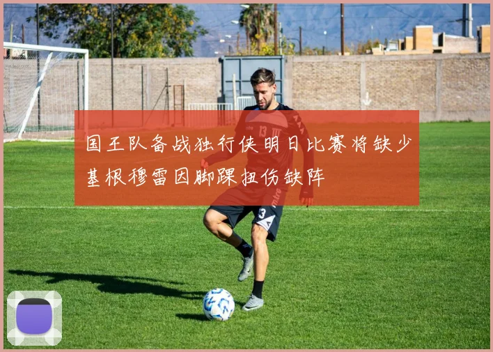 国王队备战独行侠明日比赛将缺少基根穆雷因脚踝扭伤缺阵